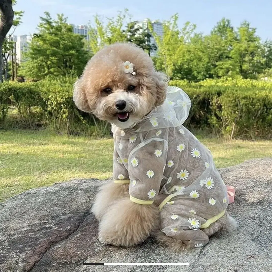 스타일멍멍 해충방지올인원 강아지 옷 강아지올인원